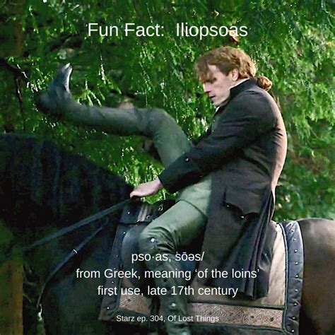 Fun Fact Iliopsoas Outlander Anatomy