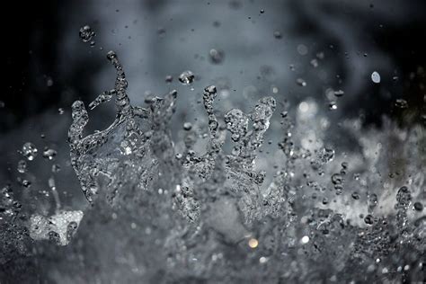 Asu Sustainability Scientist Addresses Silicon Valleys ‘raw Water Craze