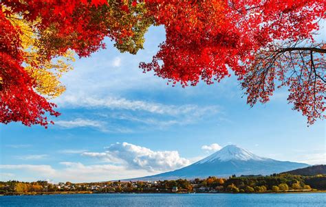 Autumn Japan Wallpapers Wallpaper Cave