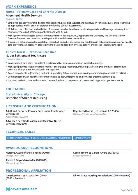 Nurse Resume Example And How To Guide For 2023