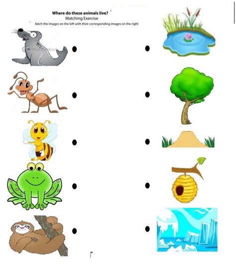 Free Printable Animals Worksheets For Kindergarten