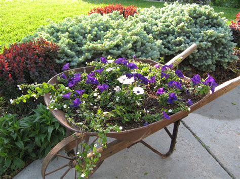 Vintage Wheelbarrow Makes Beautiful Planter Cant Wait