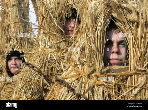 Young Men Dressed As So Called Straw Bears Stump In A Traditional
