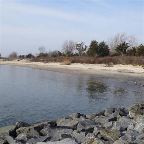 Fishermans Cove Conservation Area Manasquan All You Need To Know