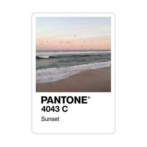 Pantone Sunset Sticker By Beekindstudio Pantone Free Watercolor