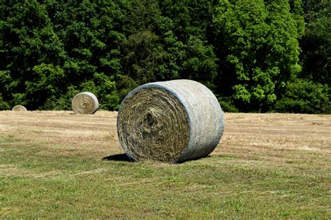 Bales Of Hay Free Stock Photo Public Domain Pictures