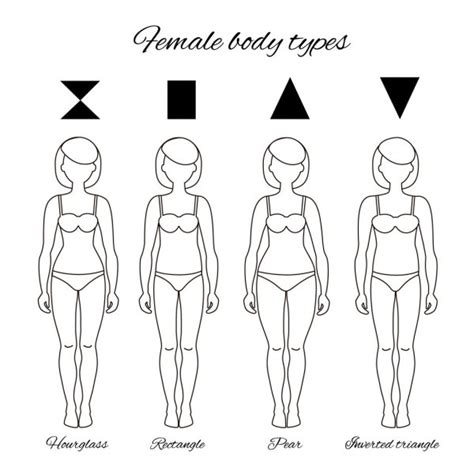 Women Body Types Stock Vectors Royalty Free Women Body Types