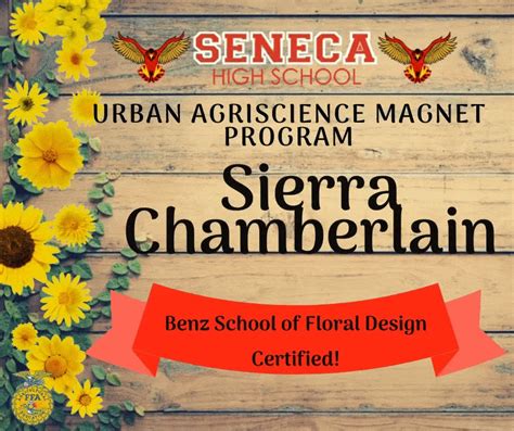 Give A Like For Sierra Chamberlain Our Latest Designer To Earn Her