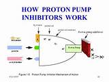 Images of Inhibitors Of Proton Pump