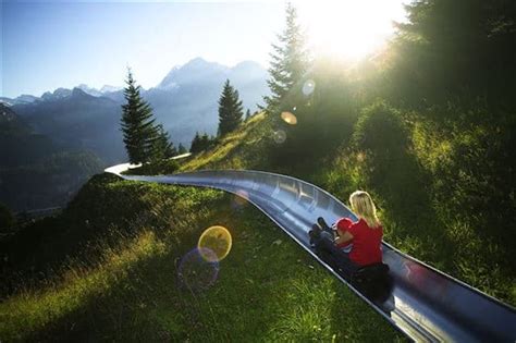 Slide Down The Alps And Experience A Trip To Heaven At This Amazing