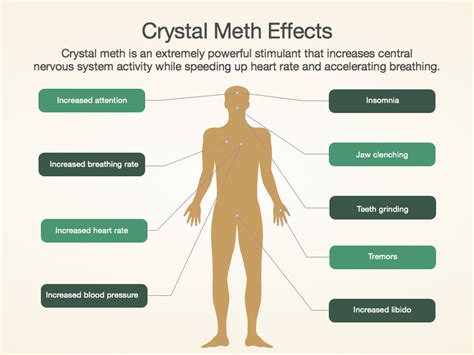 Crystal Meth Facts And Effects Crystal Meth Addiction Treatment