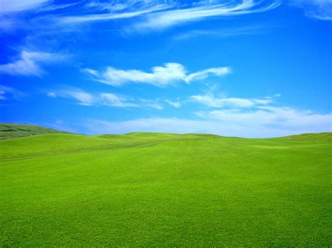 Blue Sky And Green Grass Wallpapers