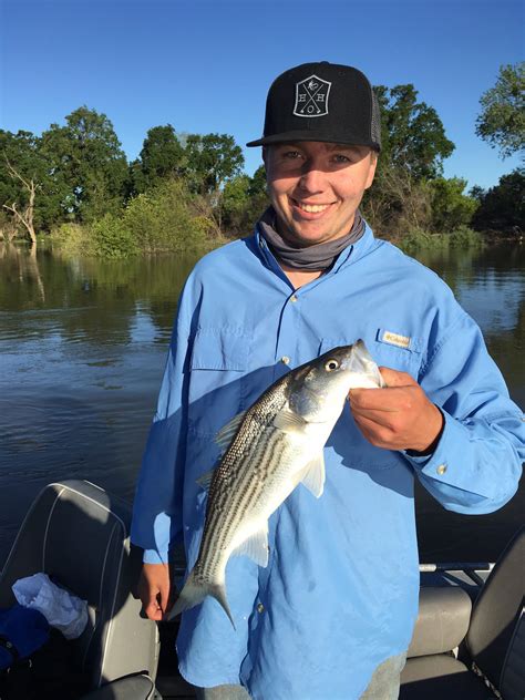 Striper Fishing Rocks On The Feather River