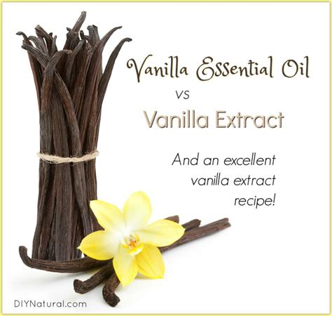 Vanilla Essential Oil Vs Vanilla Extract And Little Known Health Uses