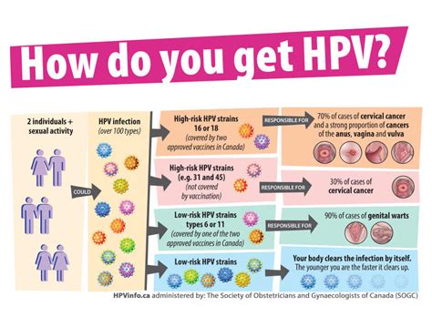 Cancer Anal Et Hpv Lmininachatentmingover