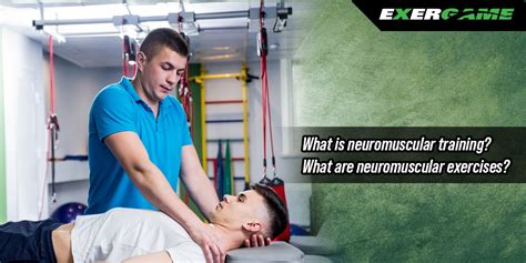 Neuromuscular Training Exercises What Is It How It Works