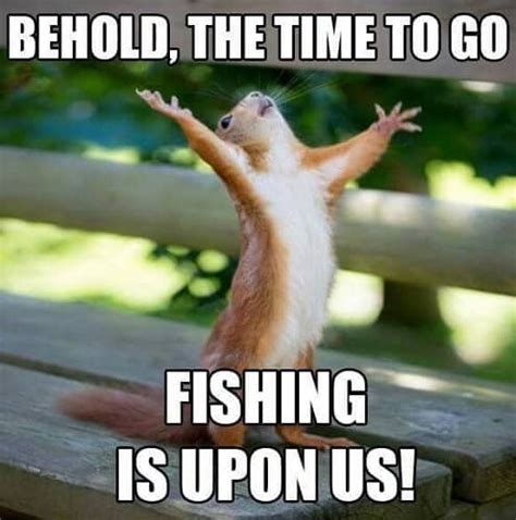 30 Funny Fishing Memes For Guaranteed Giggle Sheideas In 2020