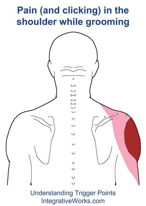 Shoulder Pain And Clicking When Grooming Integrative Works