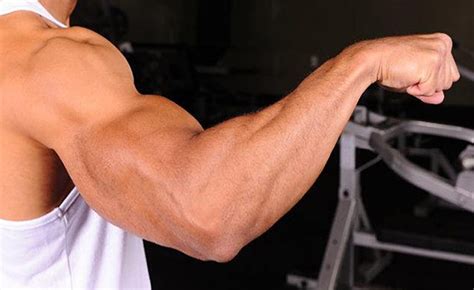 7 Top Forearm Building Benefits And Tips Keep Fit Kingdom