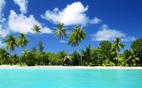 Awesome noon on tropical beach wallpaper - Beach Wallpapers