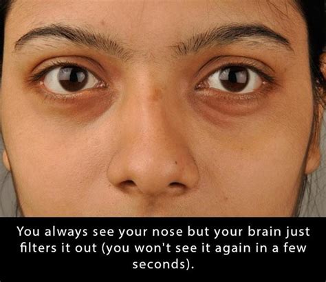 21 Strange But True Facts Thatll Blow Your Mind Team