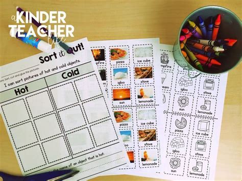 Sorting Worksheets For All Content Areas Freebie Included A