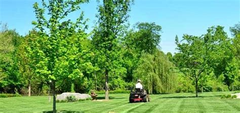 Hours may change under current circumstances Landscapers in Greenville, Anderson, Pickens and ...