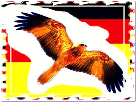 Deutschland Flag With Eagle Flag Germany Eagle The Government