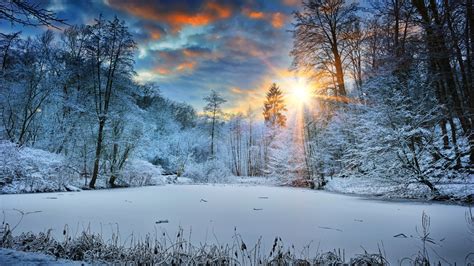 1366x768 Sunbeams Landscape Snow In Winter Trees 4k
