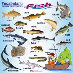 Saba fish stock images from offset. 1000+ images about Vocabulary pictures on Pinterest ...