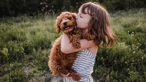 20 Of The Most Affectionate Dog Breeds That Love To Be Loved Petsradar