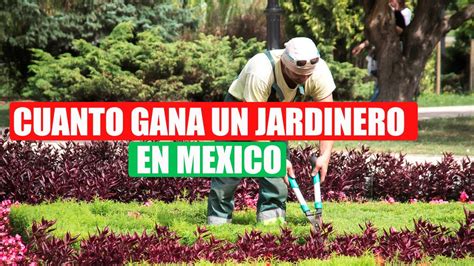 Cuanto Dinero Gana Un Jardinero En Mexico Salarios 2022 Empleos Youtube
