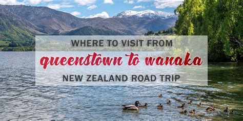 Day Trips From Queenstown What To See From Queenstown To Wanaka In A Day