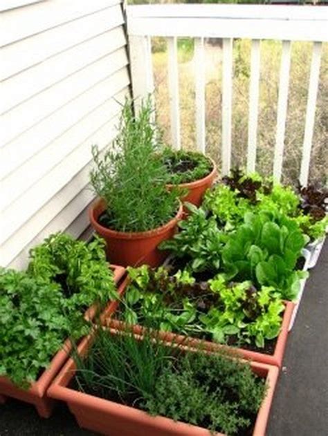 How To Start A Small Container Garden