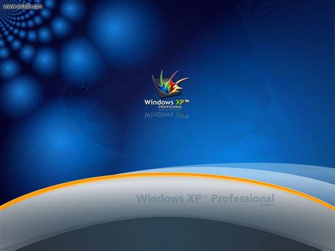 Windows Xp Professional Wallpapers Wallpaper Cave