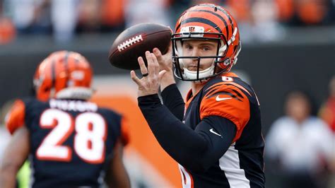 Your successful picks will earn points. Bengals tout the legend of Jeff Driskel before his first ...