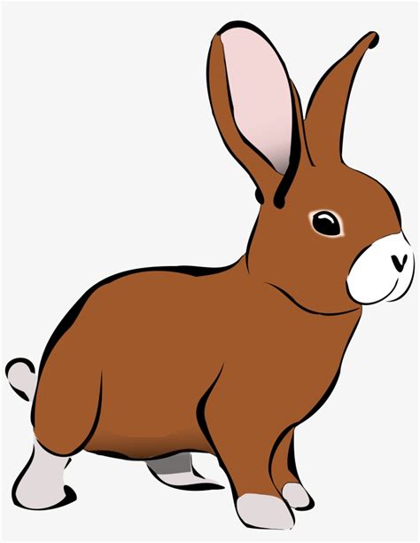 Colorful Clipart Bunny Rabbit Clipart Png Image Transparent Png