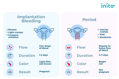 Implantation Bleeding Vs Periods What Does Implantation Bleeding Look Like Inito