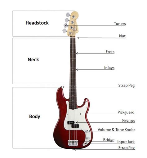Bass Buyers Guide At Americanmusical