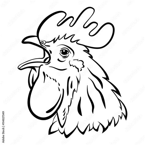 rooster logo mascot isolated rooster head vector illustration stock vector adobe stock