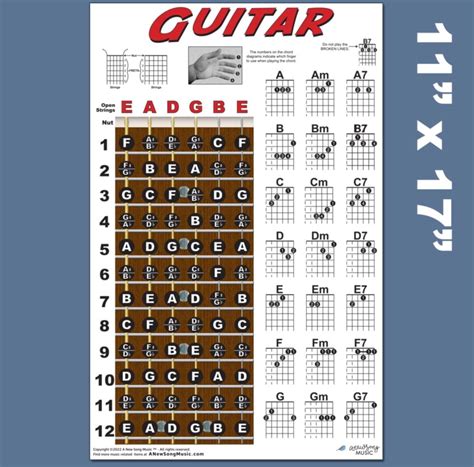 Beginner Guitar Fretboard Chart Ubicaciondepersonascdmxgobmx