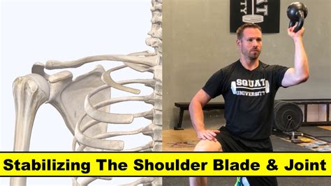 Stabilizing The Shoulder Blade And Joint Squat University