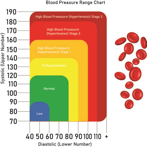 10 Best Printable Blood Pressure Chart