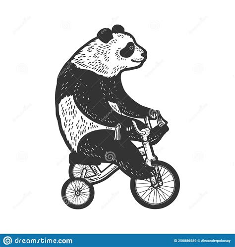 Panda Bear On Bicycle Sketch Vector Illustration Stock Vector