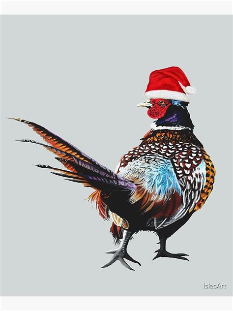 Christmas Pheasant Festive Pheasants Game Bird Christmas Pheasant Art Mounted Print By