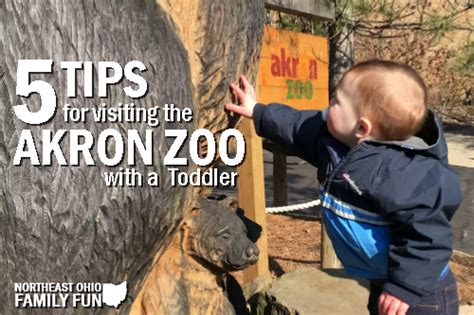5 Tips For Visiting The Akron Zoo With A Toddler