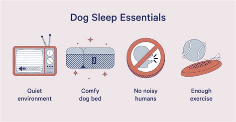 How Many Hours Do Dogs Sleep Casper Blog