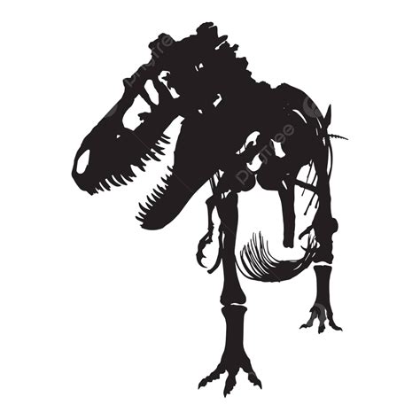 Silueta Vectorial De Un Esqueleto Tiranosaurio Rex De Vista Frontal