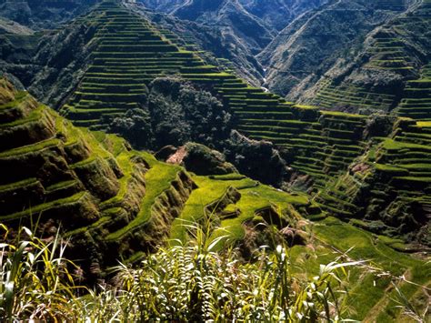 Ancient Rice Terraces Phillipines Philippines Travel Baguio City