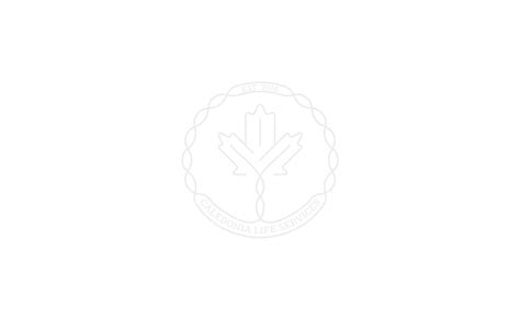 Harriett Sheehan Obituary 2024 - Guibord-Pearsons & Sayles Funeral Home